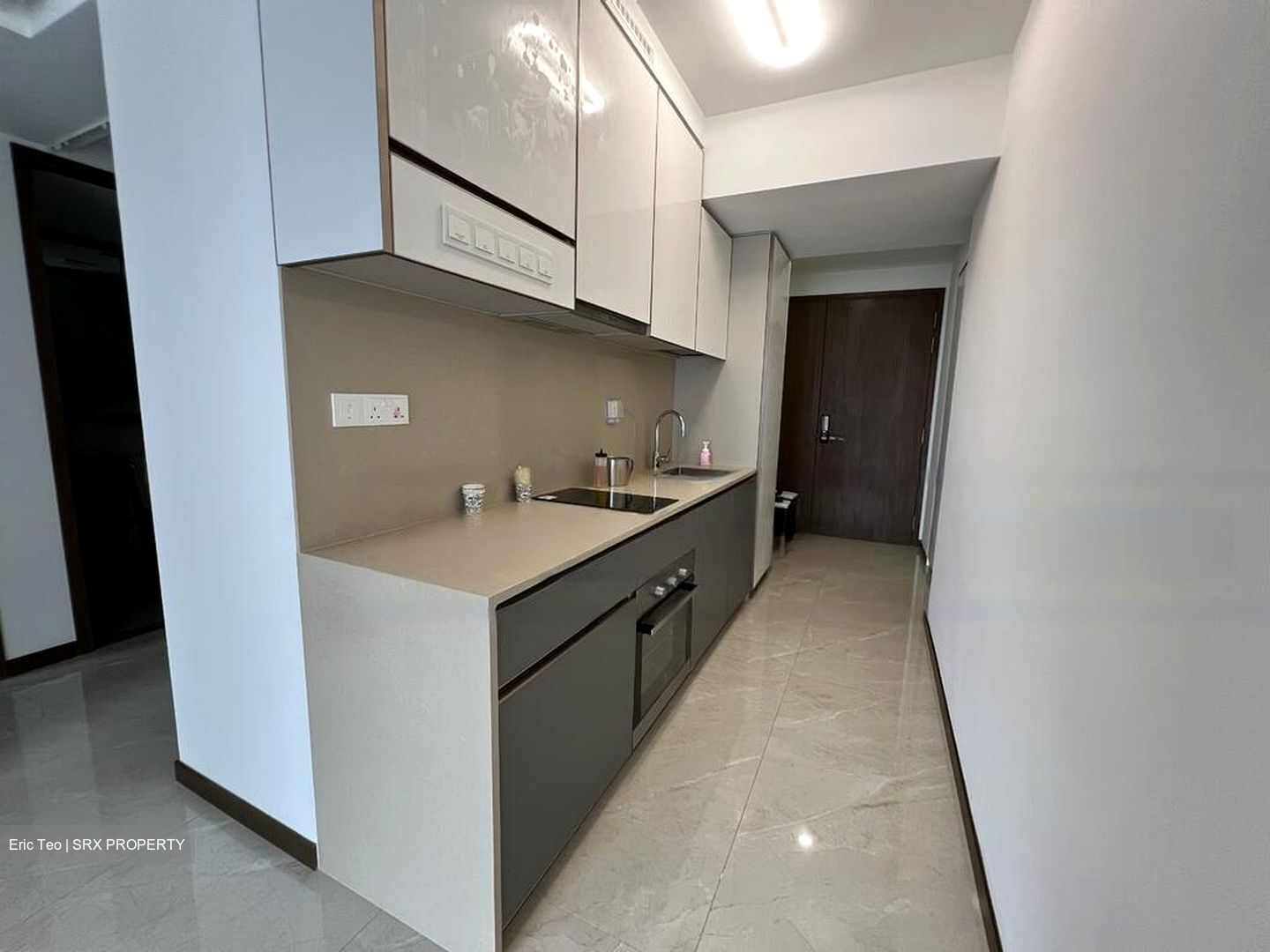 Normanton Park (D5), Apartment #458374821